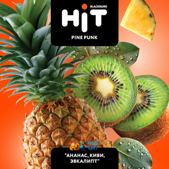 Табак для кальяна BlackBurn HIT 6 Pine Punk (БлэкБерн / БлекБерн Хит 6 Ананас Киви Эвкалипт) 30г - фото 1